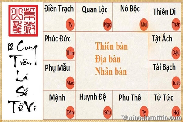 Hợp âm IF - Từ Vi | 徐薇 (Phiên bản 1)